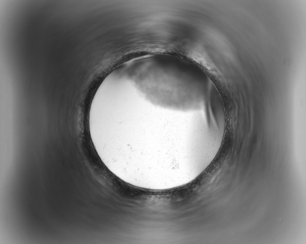 X0000093510303200711021033