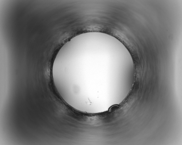 X0000093510309200711021032