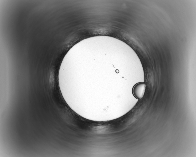 X0000093510312200711021032