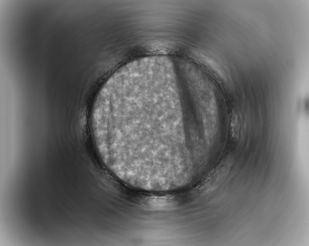 X0000093510314200711021032