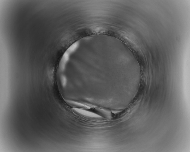 X0000093510319200711021032