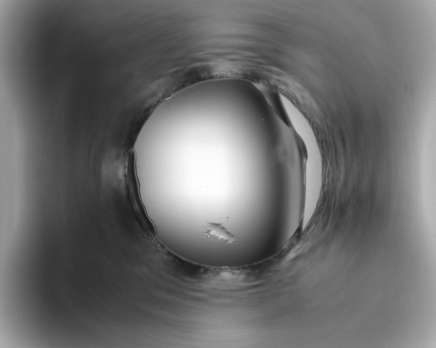 X0000093510329200711021032