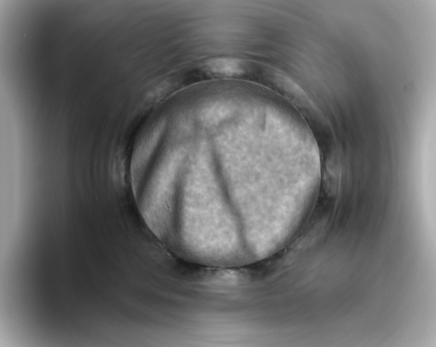 X0000093510330200711021032