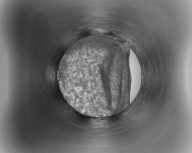 X0000093510331200711021032