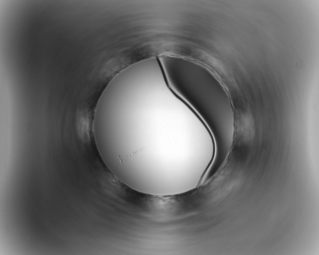 X0000093510333200711021032