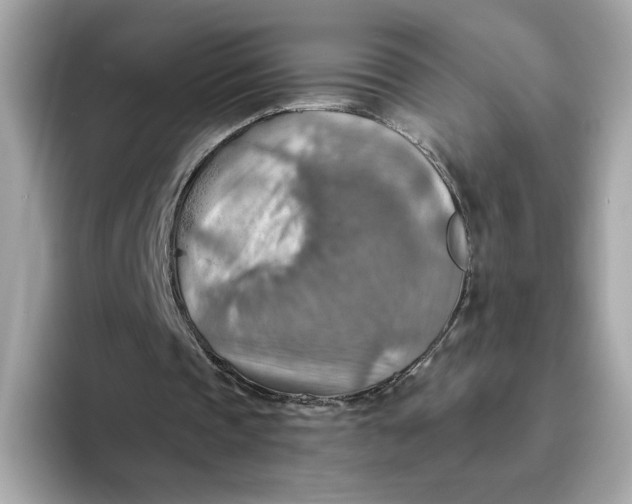 X0000093510337200711021032