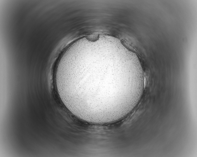 X0000093510339200711021032