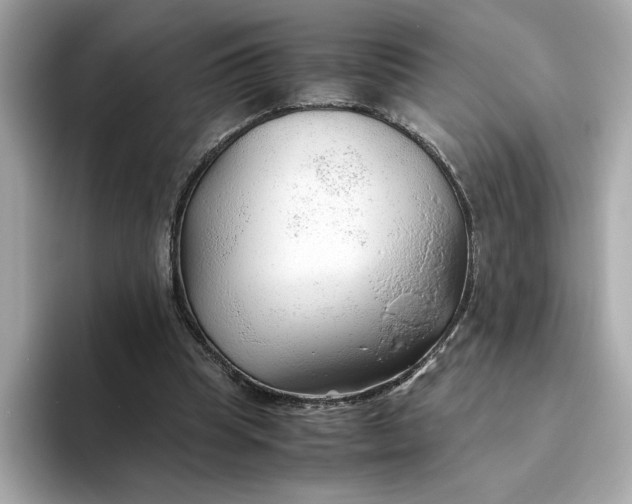 X0000093510345200711021032