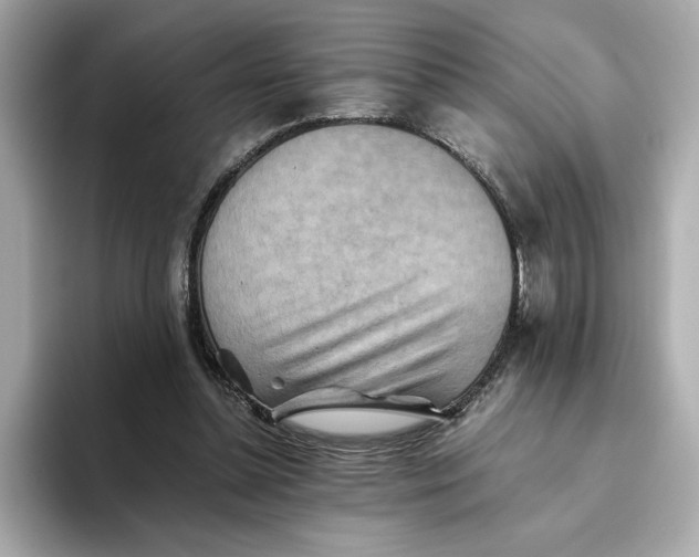 X0000093510348200711021032