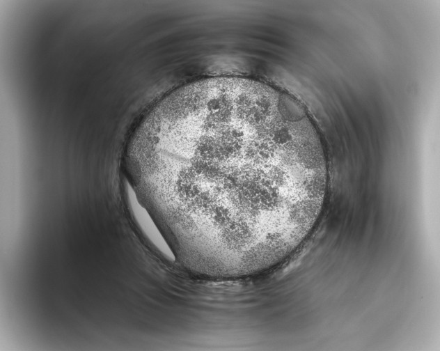 X0000093510353200711021032