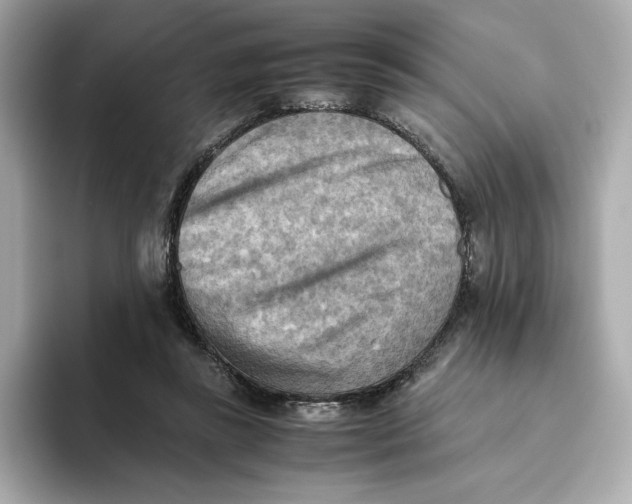 X0000093510355200711021032