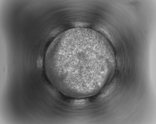 X0000093510357200711021032