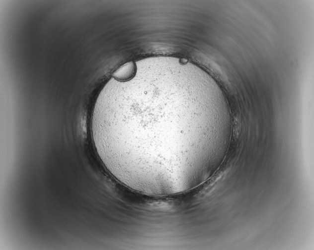 X0000093510358200711021032