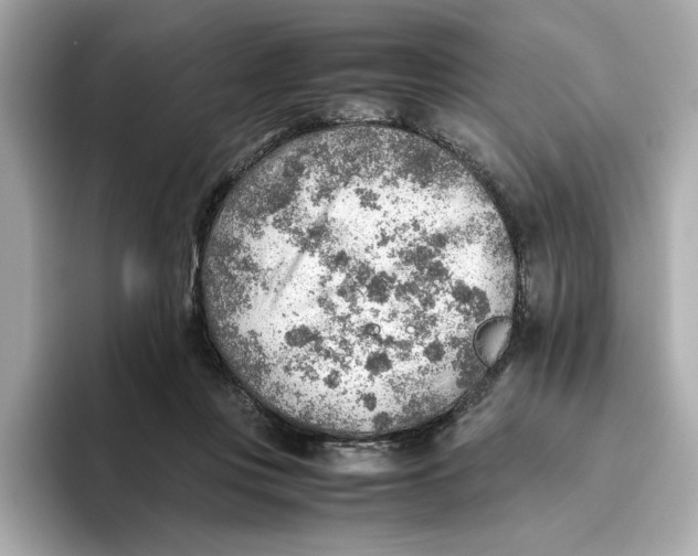 X0000093510359200711021032