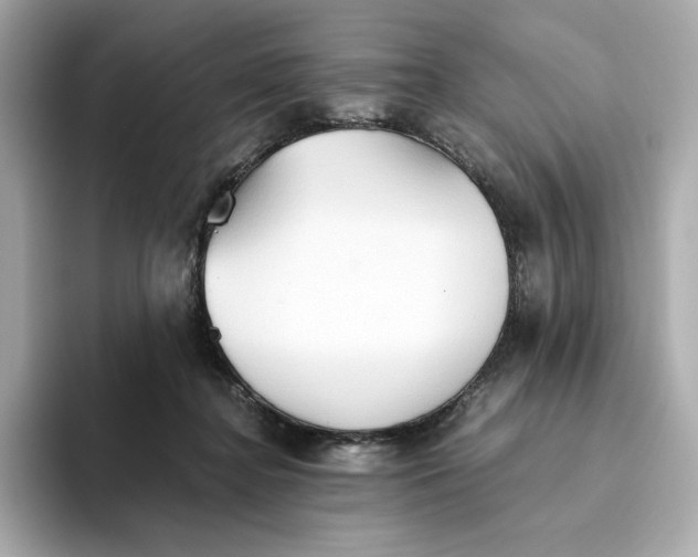 X0000093510364200711021032