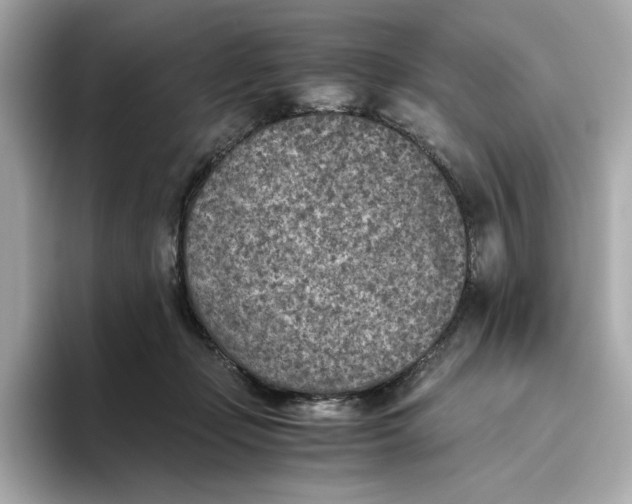 X0000093510365200711021032