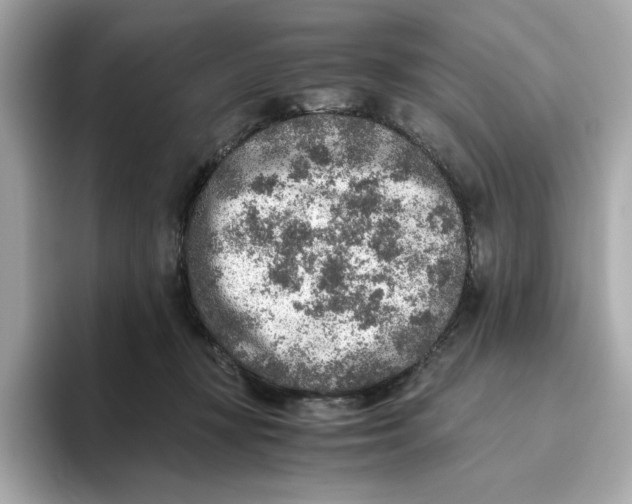 X0000093510367200711021032