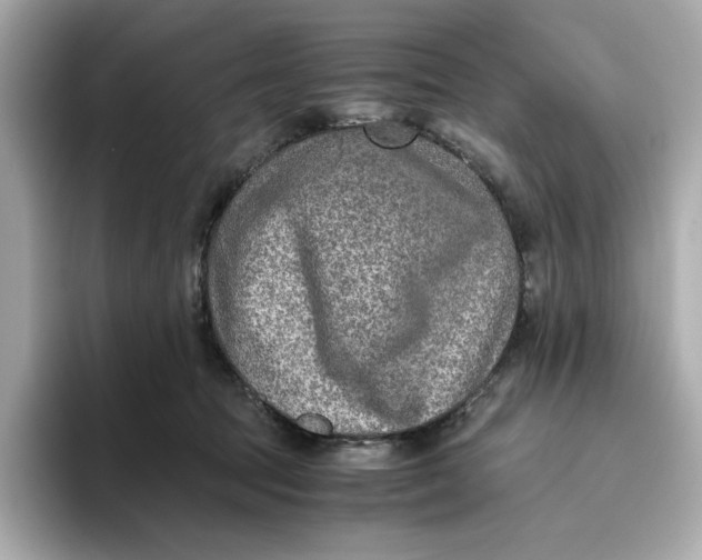 X0000093510369200711021032