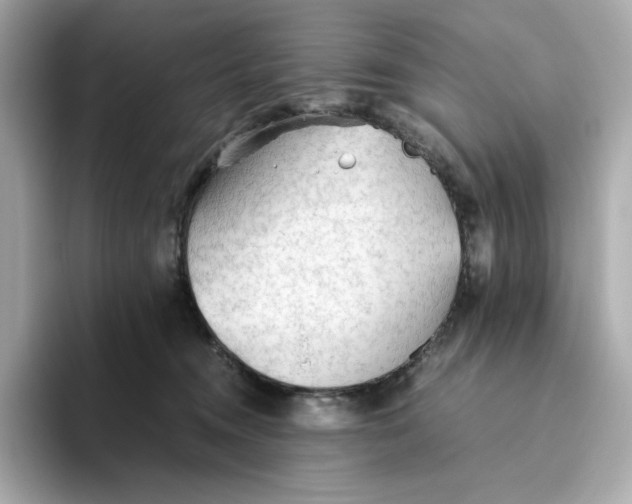 X0000093510372200711021032