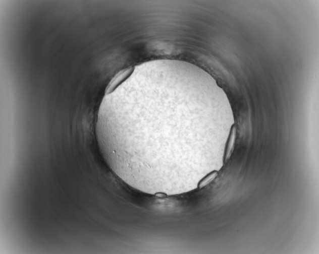 X0000093510376200711021032