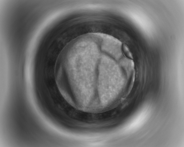 X0000093510383200711021032