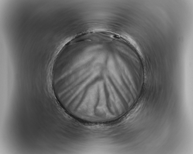 X0000093510385200711021032