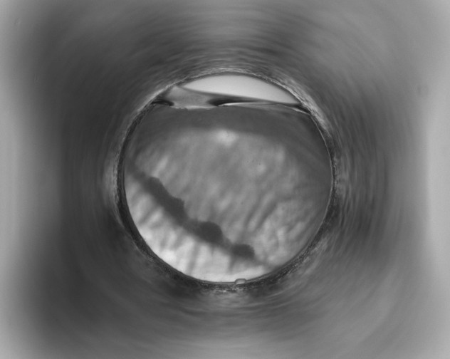 X0000093510386200711021032