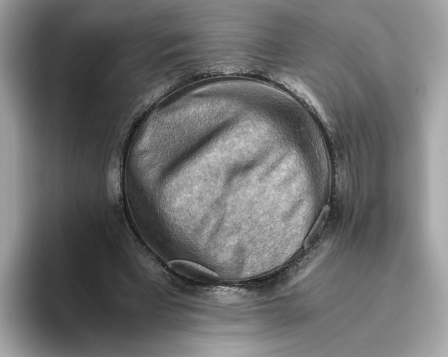 X0000093510393200711021031