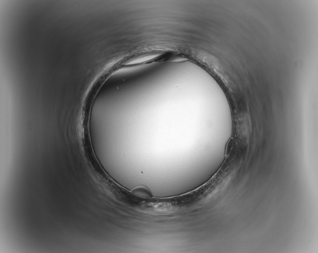 X0000093510395200711021031