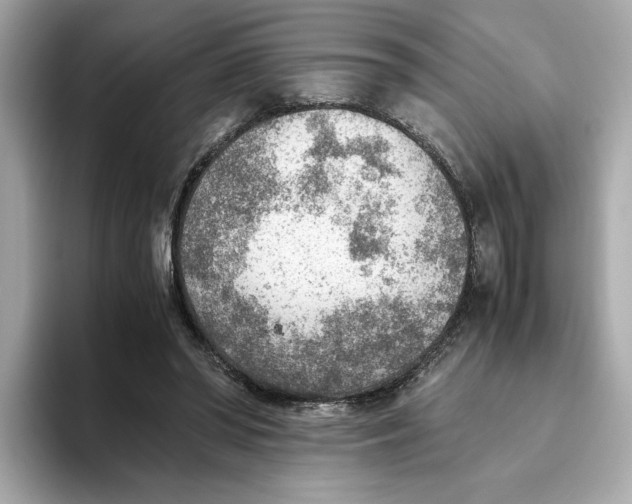 X0000093510398200711021031