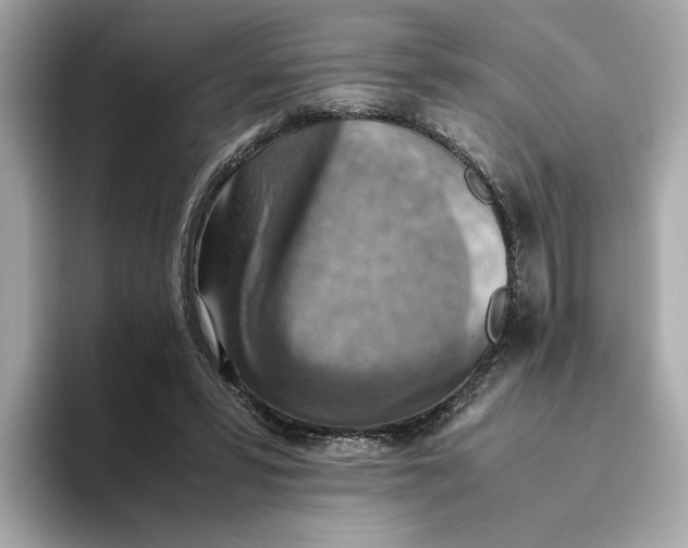 X0000093510399200711021031