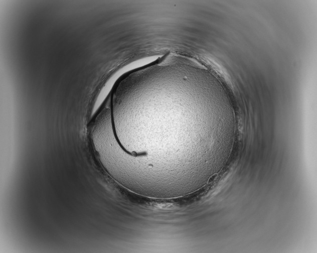 X0000093510401200711021031