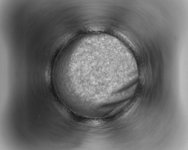 X0000093510402200711021031