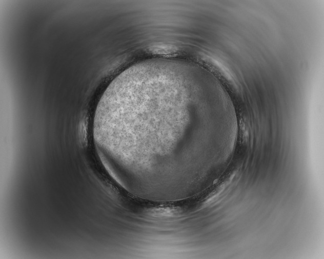 X0000093510404200711021031