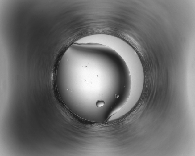 X0000093510405200711021031