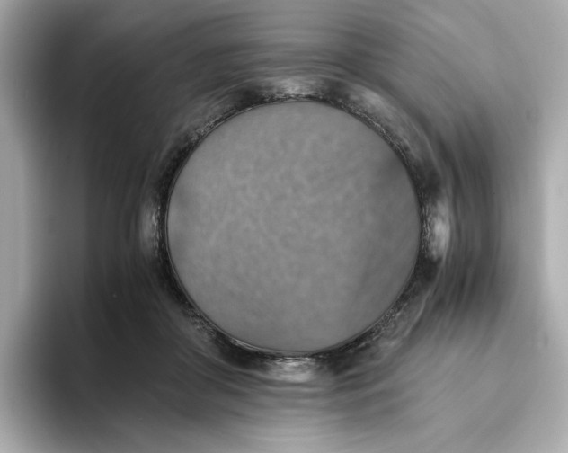 X0000093510410200711021031