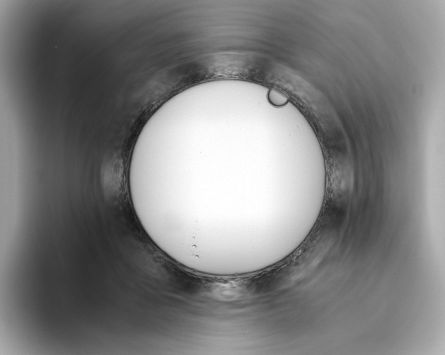 X0000093510411200711021031