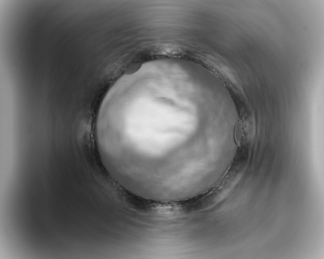 X0000093510415200711021031