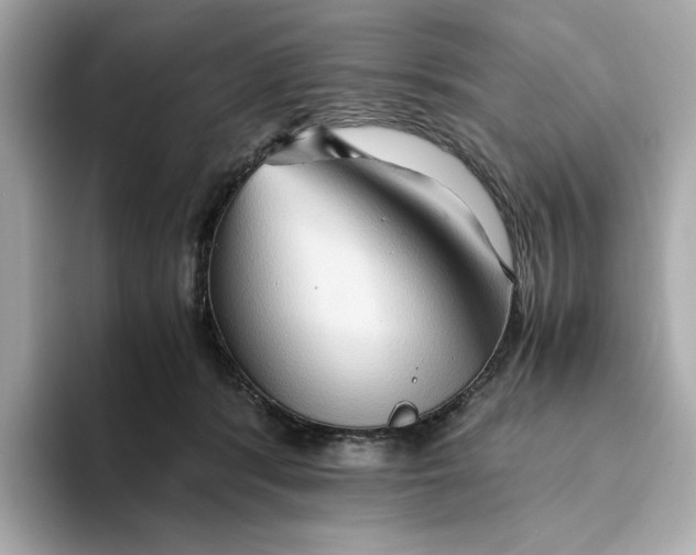 X0000093510416200711021031