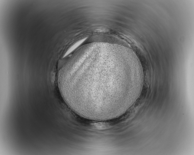 X0000093510417200711021031