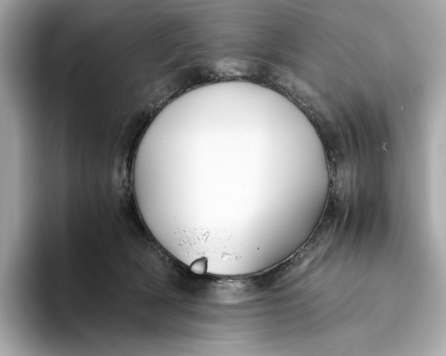 X0000093510418200711021031