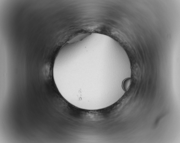 X0000093510420200711021031