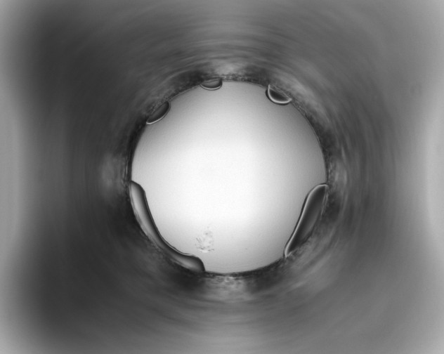 X0000093510421200711021031