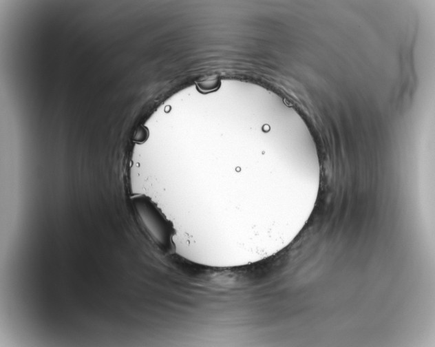 X0000093510423200711021031