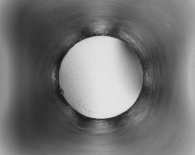 X0000093510424200711021031