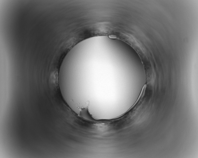 X0000093510425200711021031