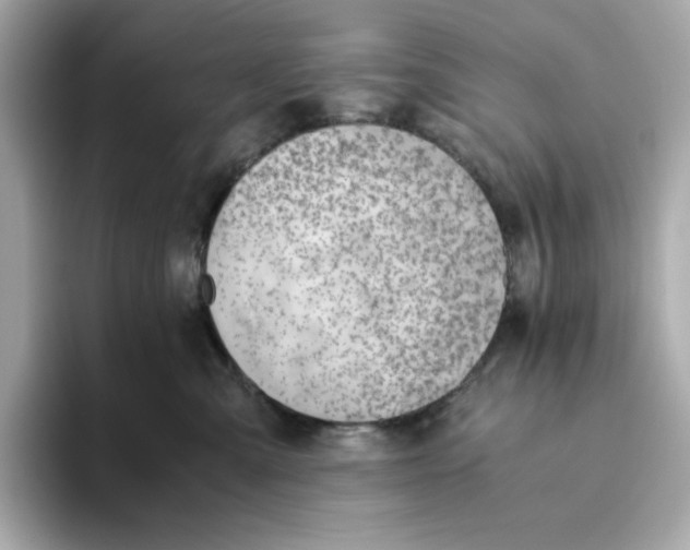 X0000093510427200711021031