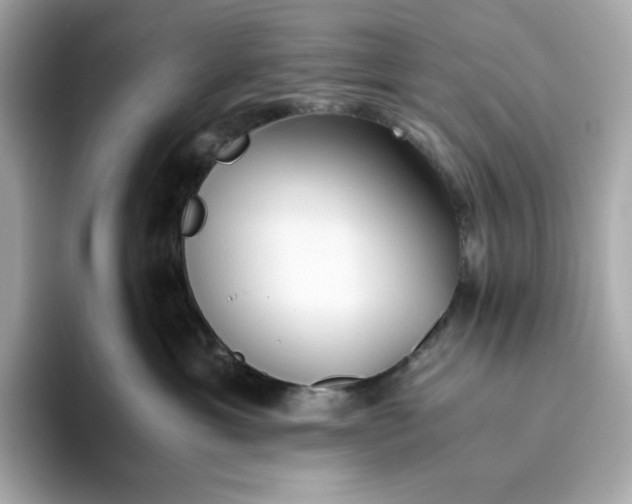 X0000093510429200711021031