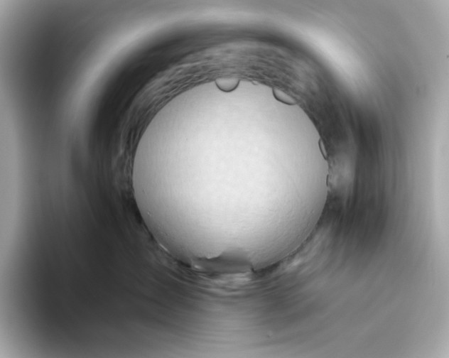 X0000093510431200711021031