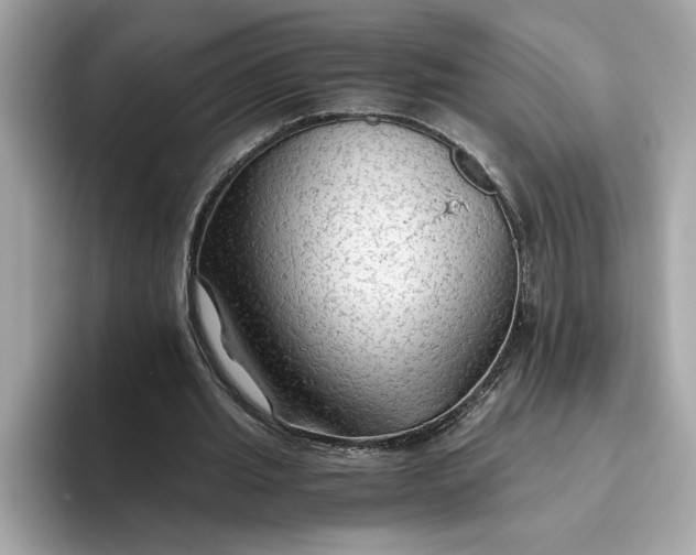 X0000093510437200711021031